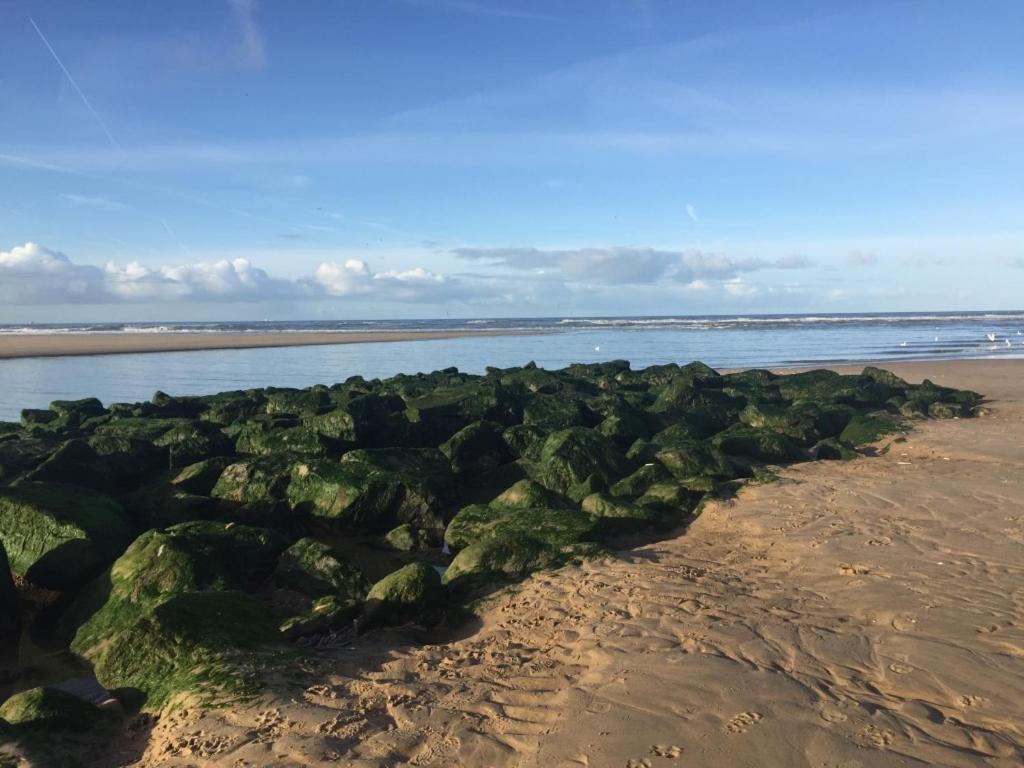 Zoute Zeelucht Acomodação com café da manhã Katwijk aan Zee Exterior foto